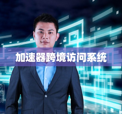 加速器跨境访问系统