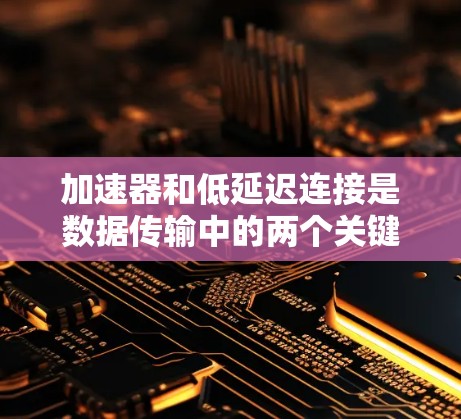 加速器和低延迟连接是数据传输中的两个关键概念，它们之间存在相互影响的关系。以下是对这两个概念的详细分析和总结
