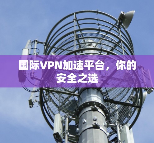 国际VPN加速平台，你的安全之选