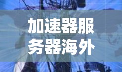 加速器服务器海外测速报告，从性能优化到用户体验提升