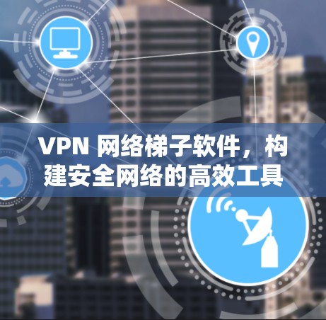 VPN 网络梯子软件，构建安全网络的高效工具