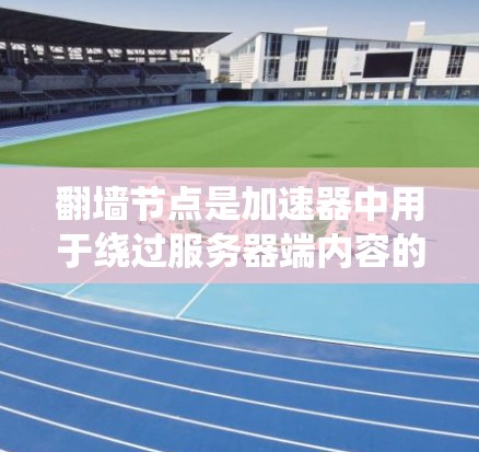 翻墙节点是加速器中用于绕过服务器端内容的中间节点，常见于加速器软件中。以下是一些常见的翻墙节点类型及其配置方法