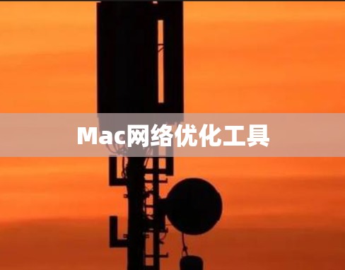 Mac网络优化工具