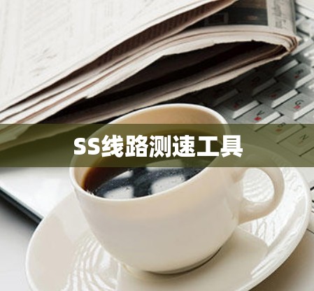 SS线路测速工具