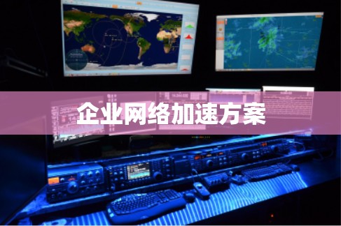 企业网络加速方案