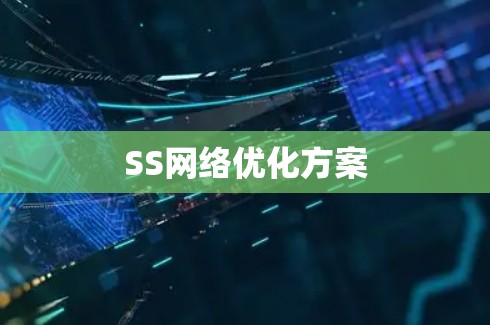 SS网络优化方案