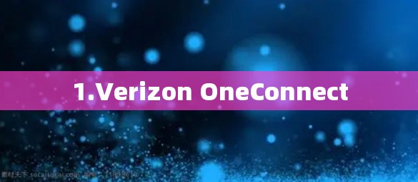 1.Verizon OneConnect