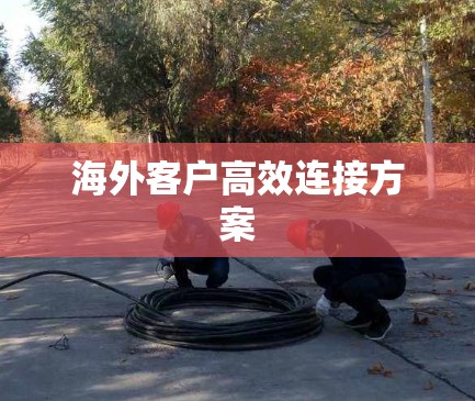 海外客户高效连接方案