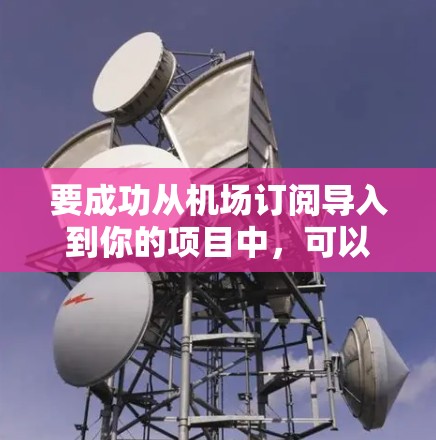 要成功从机场订阅导入到你的项目中，可以按照以下步骤进行