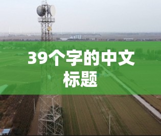 39个字的中文标题