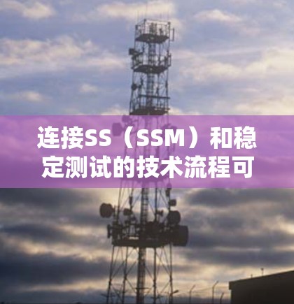 连接SS（SSM）和稳定测试的技术流程可以分为以下几个步骤