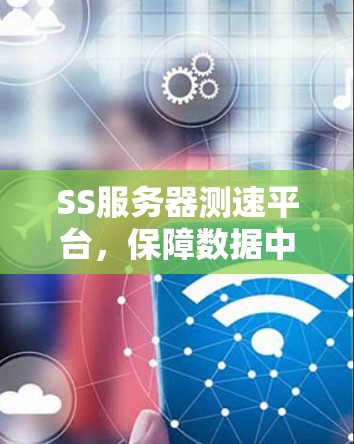 SS服务器测速平台，保障数据中心网络性能的关键工具
