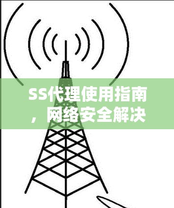 SS代理使用指南，网络安全解决方案