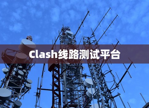 Clash线路测试平台