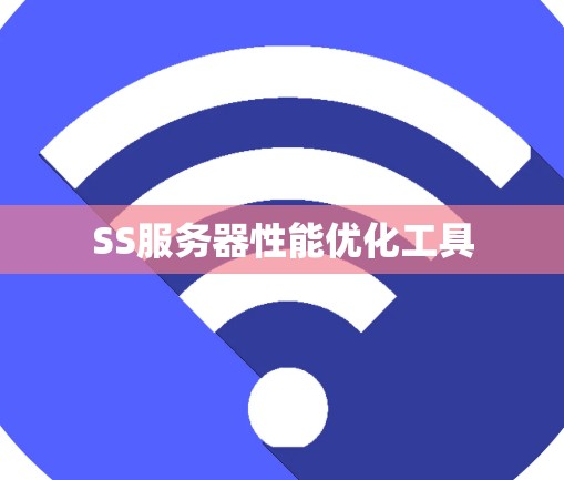 SS服务器性能优化工具