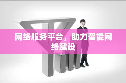 网络服务平台，助力智能网络建设
