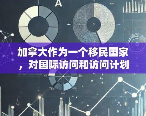 加拿大作为一个移民国家，对国际访问和访问计划有严格的法律和合规要求。如果您计划访问加拿大，特别是涉及国际访问或商业活动，需要遵守加拿大的法律框架和规定。以下是一些关于加拿大VPN访问方案的要点和建议