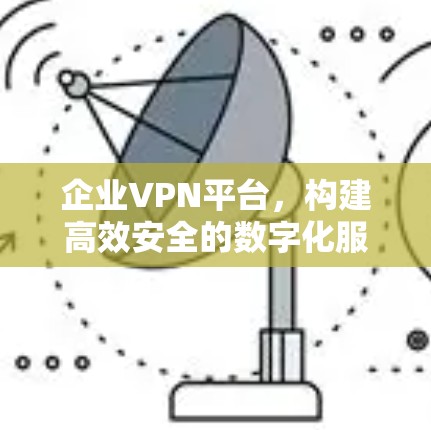 企业VPN平台，构建高效安全的数字化服务网络