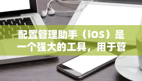 配置管理助手（iOS）是一个强大的工具，用于管理iOS设备的配置和设置。它通过控制台功能和iOS的API进行操作，支持设备管理、应用管理以及设备连接设置。以下是详细的步骤和使用指南