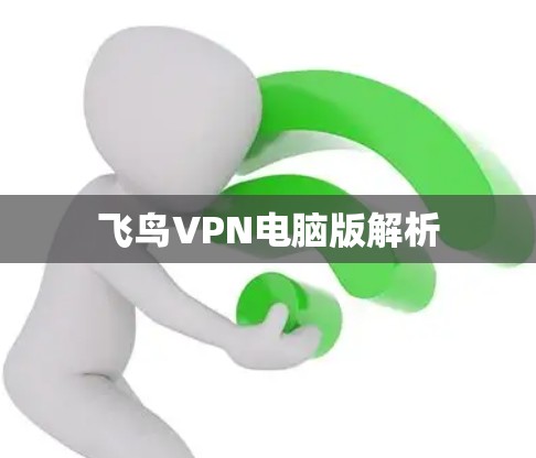 飞鸟VPN电脑版解析