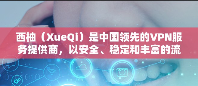 西柚（XueQi）是中国领先的VPN服务提供商，以安全、稳定和丰富的流量体验著称。以下是西柚的主要功能介绍