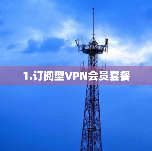 1.订阅型VPN会员套餐