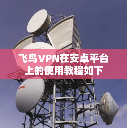 飞鸟VPN在安卓平台上的使用教程如下