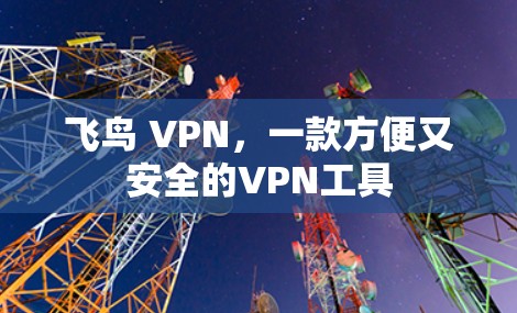 飞鸟 VPN，一款方便又安全的VPN工具