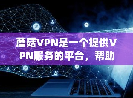 蘑菇VPN是一个提供VPN服务的平台，帮助用户 securely访问网络资源。以下是关于蘑菇VPN的详细介绍，供您参考