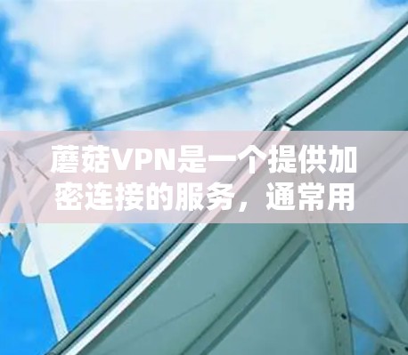 蘑菇VPN是一个提供加密连接的服务，通常用于VPN体验。如果遇到了蘑菇VPN的问题，以下是一些可能的解决方法