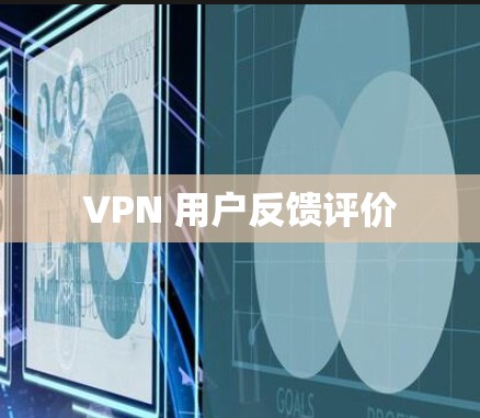 VPN 用户反馈评价