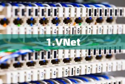 1.VNet