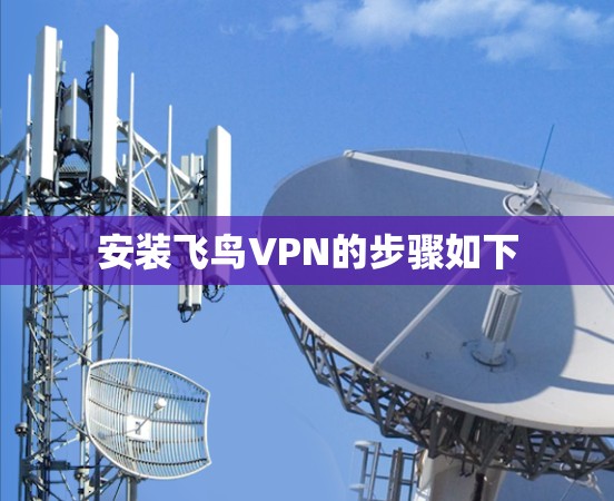 安装飞鸟VPN的步骤如下