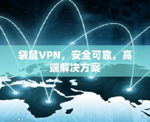 袋鼠VPN，安全可靠，高端解决方案