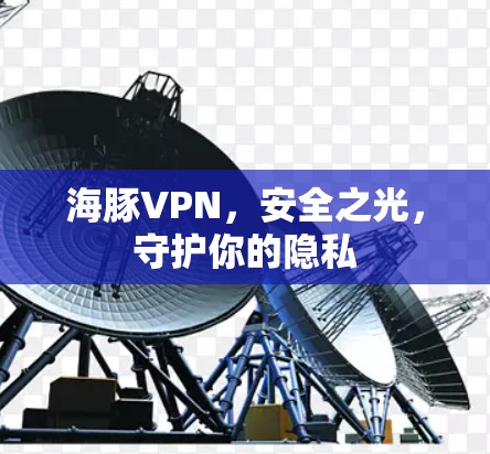 海豚VPN，安全之光，守护你的隐私