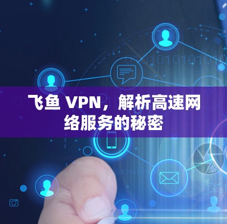 飞鱼 VPN，解析高速网络服务的秘密