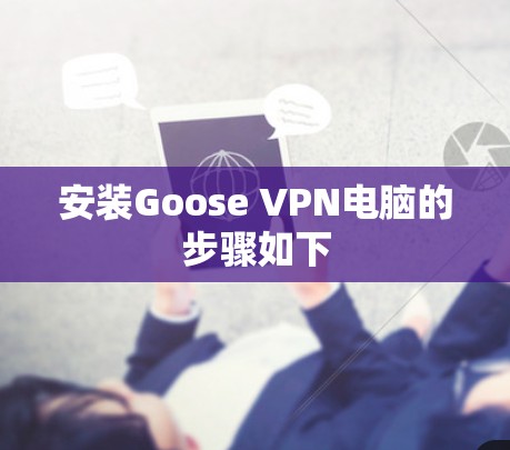 安装Goose VPN电脑的步骤如下