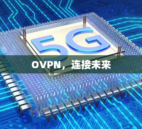 OVPN，连接未来