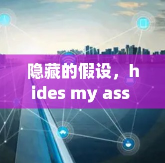 隐藏的假设，hides my ass VPN 服务器的选择