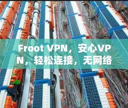 Froot VPN，安心VPN，轻松连接，无网络滤镜