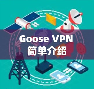 Goose VPN 简单介绍