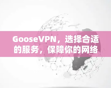 GooseVPN，选择合适的服务，保障你的网络连接