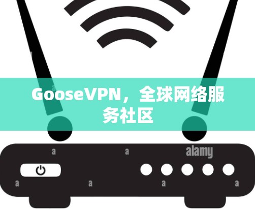 GooseVPN，全球网络服务社区