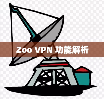 Zoo VPN 功能解析