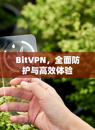 BitVPN，全面防护与高效体验