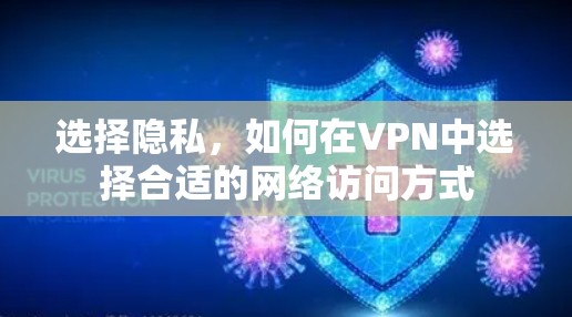 选择隐私，如何在VPN中选择合适的网络访问方式