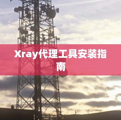 Xray代理工具安装指南