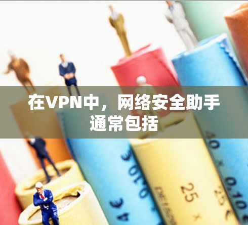 在VPN中，网络安全助手通常包括