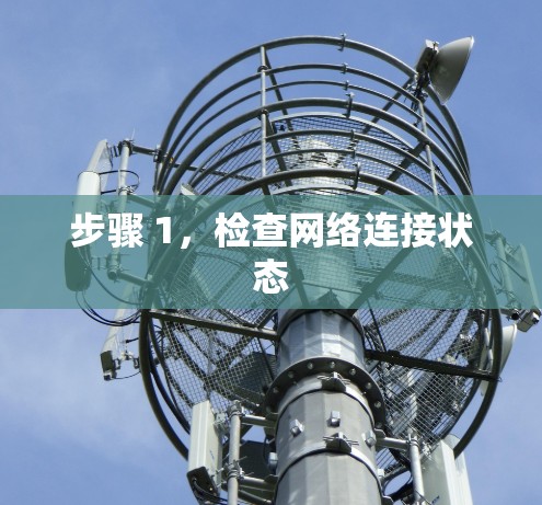步骤 1，检查网络连接状态
