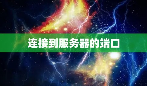 连接到服务器的端口